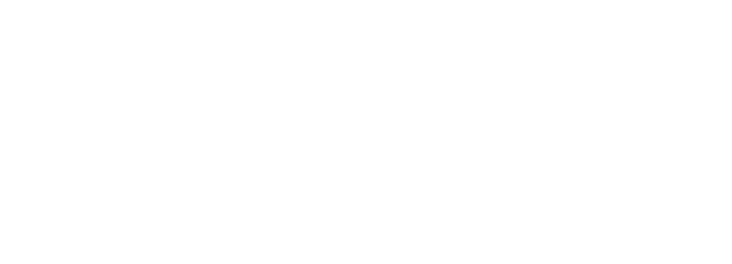 LASSA Logo